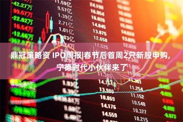 鼎冠策略资 IPO周报|春节后首周2只新股申购, 宁德时代小伙伴来了