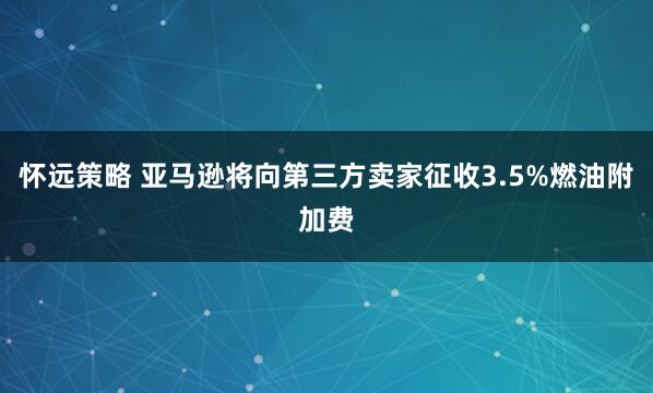 怀远策略 亚马逊将向第三方卖家征收3.5%燃油附加费
