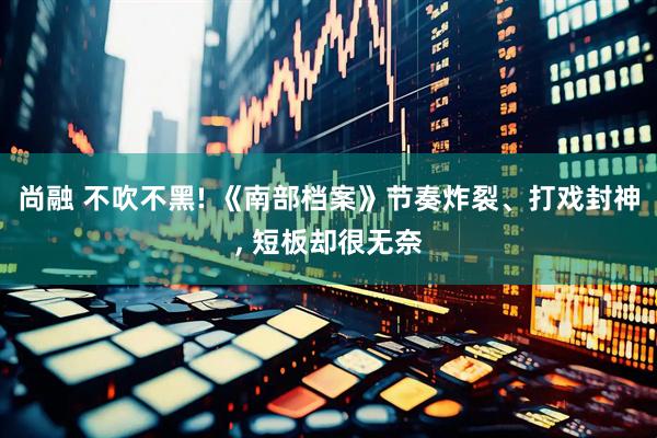 尚融 不吹不黑! 《南部档案》节奏炸裂、打戏封神, 短板却很无奈