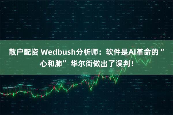 散户配资 Wedbush分析师：软件是AI革命的“心和肺” 华尔街做出了误判！