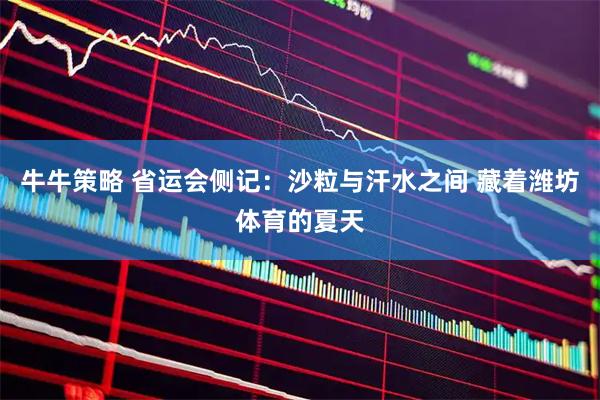 牛牛策略 省运会侧记：沙粒与汗水之间 藏着潍坊体育的夏天