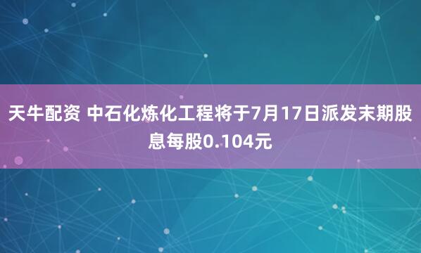 天牛配资 中石化炼化工程将于7月17日派发末期股息每股0.104元