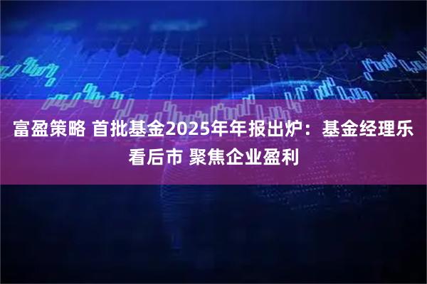 富盈策略 首批基金2025年年报出炉:基金经理乐看后市 聚焦企业盈利