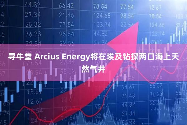 寻牛堂 Arcius Energy将在埃及钻探两口海上天然气井