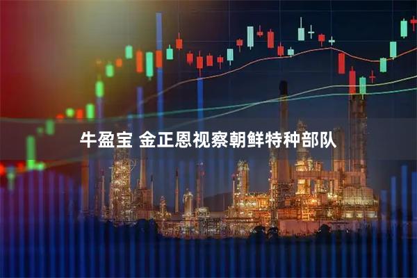 牛盈宝 金正恩视察朝鲜特种部队