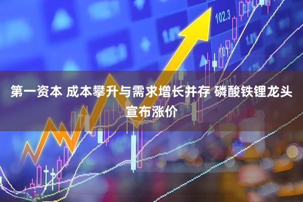 第一资本 成本攀升与需求增长并存 磷酸铁锂龙头宣布涨价