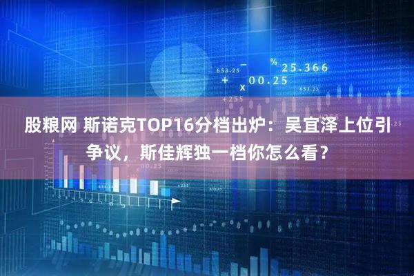 股粮网 斯诺克TOP16分档出炉：吴宜泽上位引争议，斯佳辉独一档你怎么看？