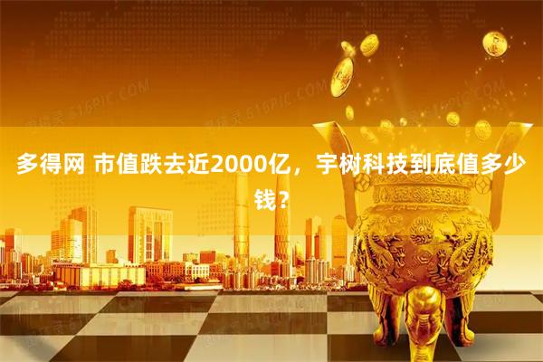 多得网 市值跌去近2000亿，宇树科技到底值多少钱？